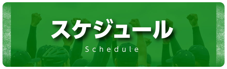 スケジュール